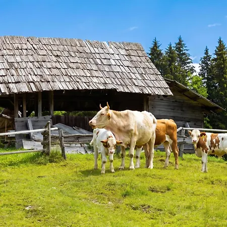 Gasthof Alpine Goska Ravan Radovljica
